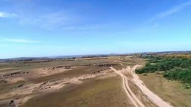 唯美简约航拍内蒙古草原牛群放牧视频视频的预览图